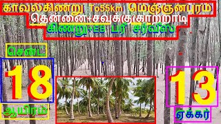 குமரிமாவட்டஎல்லை To55km மெஞ்ஞானபுரம் 13 ஏக்கர் தென்னை,சவுக்கு.சென்ட் 18 ஆயிரம்-954-022.09.24 #JJJ