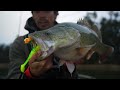 the lake guide series mulwala murray cod fishing