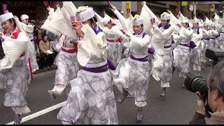 天空しなと屋しん　かわさき薬大師厄除よさこい 2018