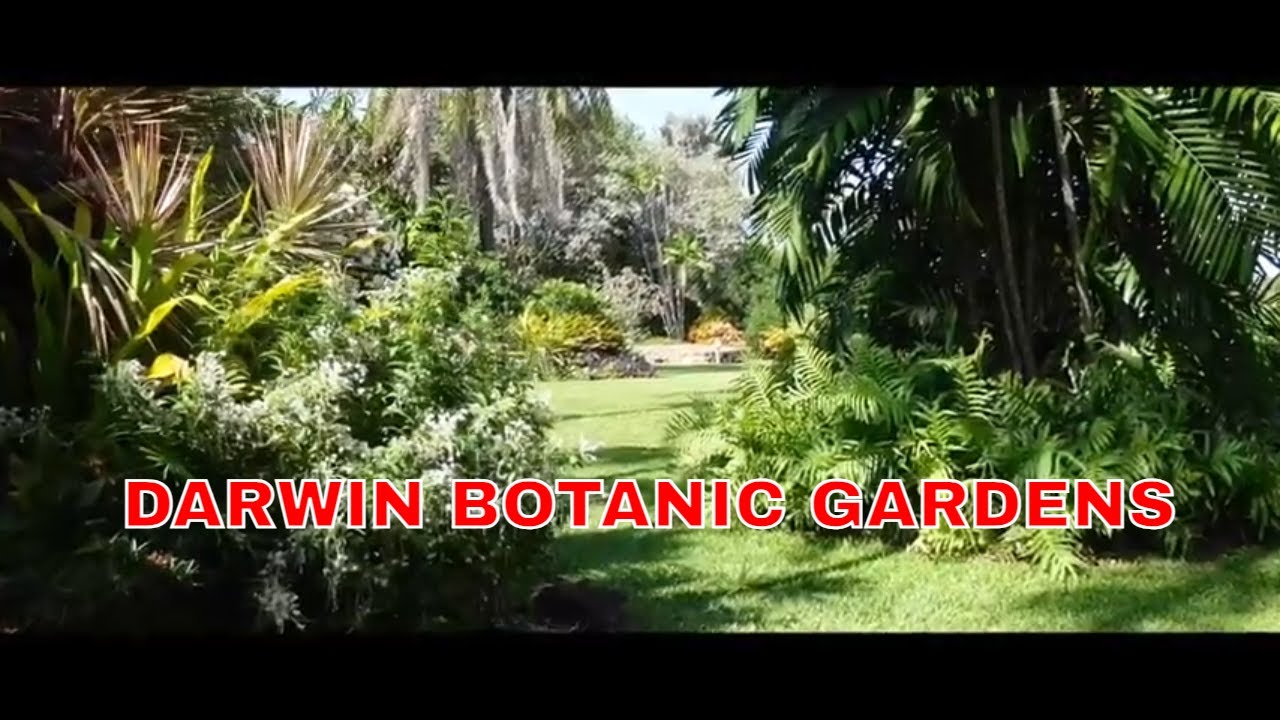 Walking Tour In Darwin Botanic Gardens Australia: See The Beauty Of ...