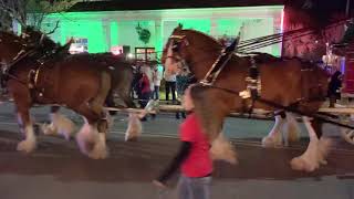 Adventures Pub \u0026 Spirits, Biloxi  Clydesdales