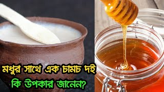 দই এর সাথে মধু খেলে কি উপকার হয় জানেন?The benefits of honey | Notun Khobor Bangla