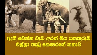 අමනුස්සයෝ 😢 ප්‍රේක්ෂකයන් පිනවූ අහින්සක කෙණරට කරපු දේ එදා ලොවක් හැඩවූවා.