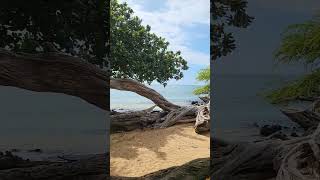 Breathtaking Beach,  Spencer Beach Park, Kamuela Hawai'i 🏝🌴☀️🥽🩱🩳