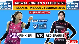 Jadwal Siaran Langsung Pink Spiders Vs Red Sparks - Liga Voli Korea 2025 Hari Ini