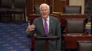 Cornyn Congratulates Pres. Trump, Praises New Border Patrol Chief \u0026 Texan Mike Banks