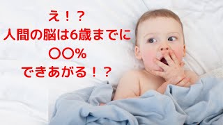 【衝撃】子どもの脳は何歳までにできあがる？？【0歳～6歳】【脳の発育】【世界で活躍できる子を育てる＝せかいく】