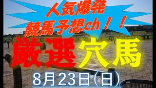 【厳選穴馬】8月23日（日）中央競馬より厳選4頭！！【夏競馬】＃keiba#競馬#競馬予想