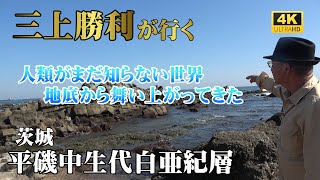 【平磯中生代白亜紀層】人類がまだ知らない世界地底から舞い上がってきた