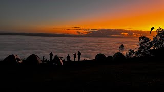 Serra do Manecão | Mata Atlântica | Montanha | Vale do Ribeira