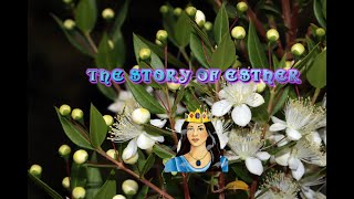 Turn It Around 132: Story of Esther #bible #christianity #god #esther #biblestudy