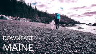 A SHELLING journey to Downeast MAINE with my Akita!