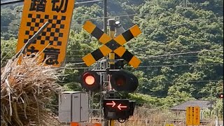 【踏切】JR中央本線　道路が長い踏切 (Railroad crossing in Japan)