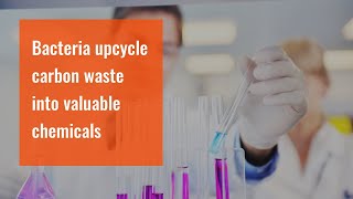 Bacteria upcycle carbon waste into valuable chemicals