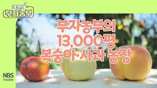 [역전의부자농부 262회] 부자농부의 13,000평 복숭아·사과 농장 #역전의부자농부 #복숭아 #사과