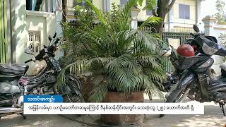 DVB - (ေျမာင္းနဲ႔ပလက္ေဖာင္းေပၚ က်ဳးေက်ာ္ ခ်ထားတဲ့ ပန္းပင္ ပန္းအိုးေတြကုိ အေရးယူမယ္