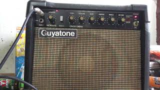 Guyatone flip200f 12ax7*2 by maxbaza