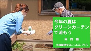 グリーンカーテンを作ってみよう　「みんなでグリーンカーテンづくり」　実践編　2021年度 第1回土曜環境サロンinエコハウス