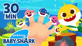 Shark Finger Family and More | +Compilation | Baby Shark Songs | Baby Shark Official