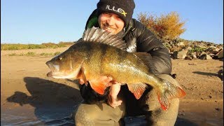 The Grind: Searching for 2kg Perch Day 4