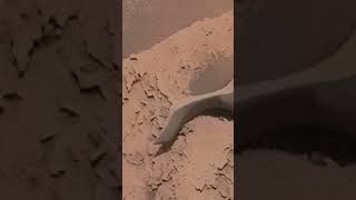Mars - Curiosity - This image was taken by Curiosity rover #shortsviral #worldtvhindi