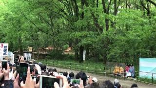 下鴨神社 賀茂祭 流鏑馬神事 2018年5月3日(3