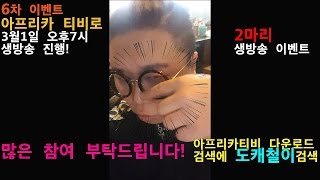 (제 91화) 생방송으로 함께하는 2마리 이벤트 3월1일 오후7시 아프리카티비/ 도캐철이 검색