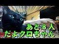 【森黒之＆よっさん】 孤立のグルメ（14）【総合栄養食品編】