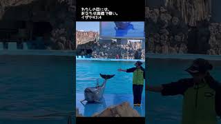 #イルカの機敏な挨拶#名古屋港水族館 #イエスキリスト #聖書