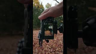 POV Fall Photos with the Sony A7CII