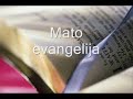 1. lithuanian garso biblija. naujasis testamentas. mato evangelija