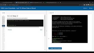 NDG Linux Essentials - LAB 12 & 13