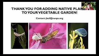 Rewilding the Veggie Garden : Native Plants as Companion Plants and as a Pollinator Powerhouse