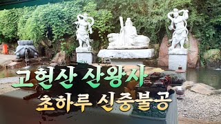 무진장TV – [산왕사] 2023년 8월 초하루 신중불공 #산왕사 #신중불공 #화엄성중