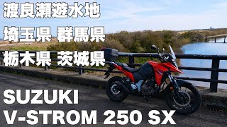 SUZUKI 【 V-STROM 250 SX 】 晩秋の渡良瀬遊水地 Motovlog005