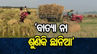 ‘ବାତ୍ୟା ନା ଶୁଣିକି ଛାନିଆ’ | Odisha Reporter