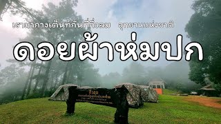 ไปกางเต็นท์กัน #ดอยผ้าห่มปก #ลานกางเต็นท์ที่สูงที่สุด #ฝาง #เชียงใหม่ #DoiPhaHomPokNationalPark