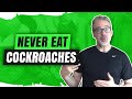 Never Eat Cockroaches (And Junk Food)