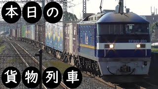 【本日の貨物列車】No.691　2022,6,8　第1054番列車　Today‘s freight train