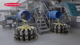 Far Eastern Impex - Potato Chip Processing and Packaging - Heat and Control