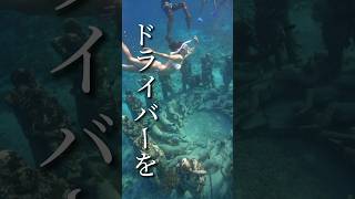 【マスターせよ】海外旅行で知ってると超便利なドライバーのチャーター方法