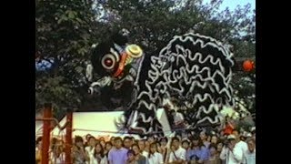 獅子舞 舞狮 Lion Dance 横浜中華街 １９９４年国慶節 横浜華僑青年会龍獅團