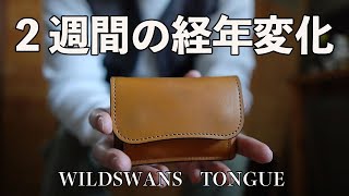 2週間使用後経年変化したWILDSWANS TONGUE（タング）フルグレインブライドルレザー