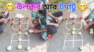 টমাটু আর উলকবি দিয়ে খেলা 🎮 Playing with tomatoes and cucumbers