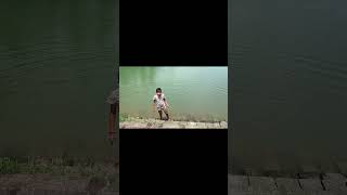 Pishari kavu Temple pond# Koyilandi KOZHIKODE