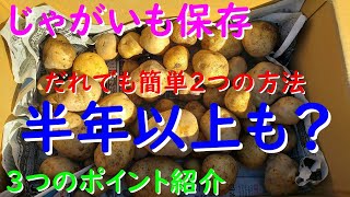 じゃがいもの長期保存３つのポイント！だれでも簡単に長期貯蔵できます