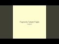 Fragments Twilight Fragile