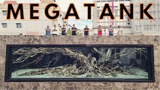 HARDSCAPE VS PREDATOR !!! MEGATANK 100.000 LITER GIOVANDI SUHENDI !!!