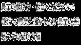 農業の儲け方・儲かる方法その６（儲かる農業と儲からない農業の差）長ネギの儲け方編