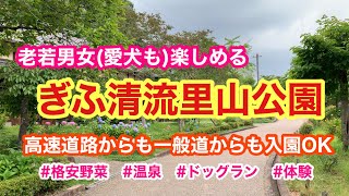 【ぎふ清流里山公園】老若男女・愛犬も一緒に楽しめる無料の公園⭐︎ レポート⭐︎ 高速道路からも一般道からも入園OK⭐︎ #ぎふ清流里山公園#岐阜県美濃加茂市#vlog